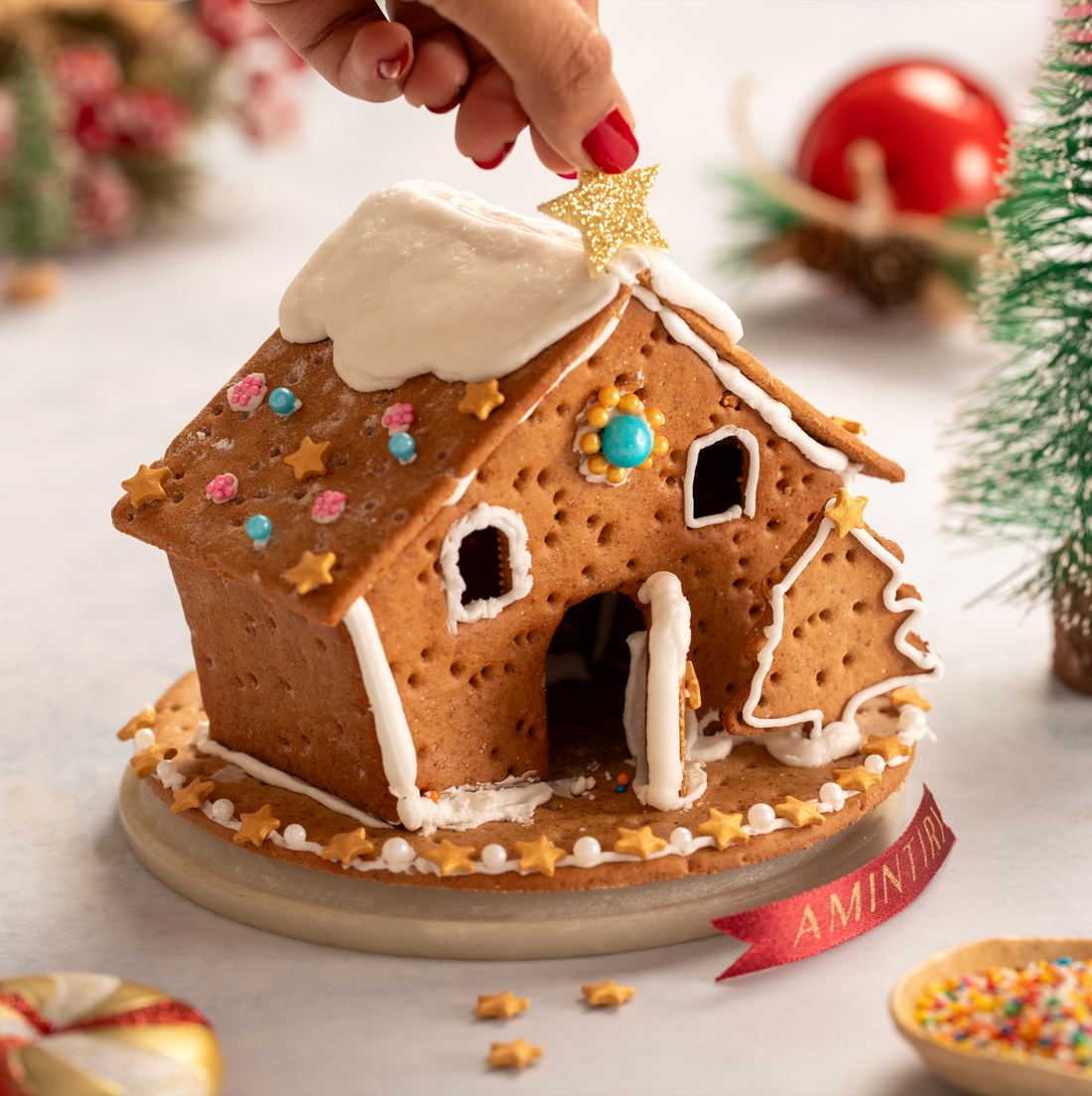 Christmas gingerbread house DIY kit - Amintiri