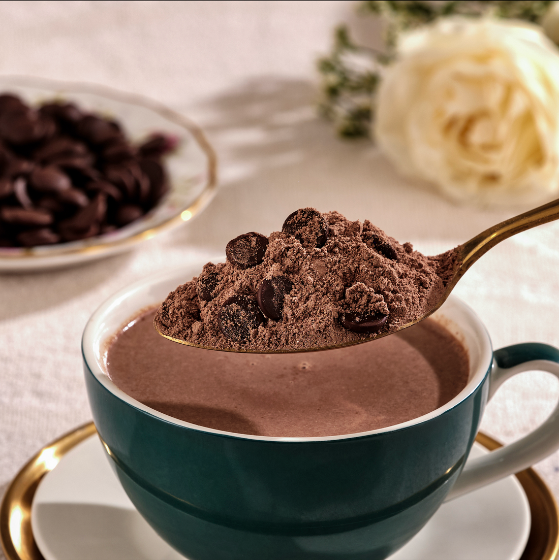 Hot Chocolate Powder